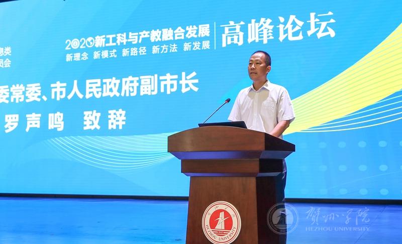 贺州市委常委、副市长罗声鸣发表讲话