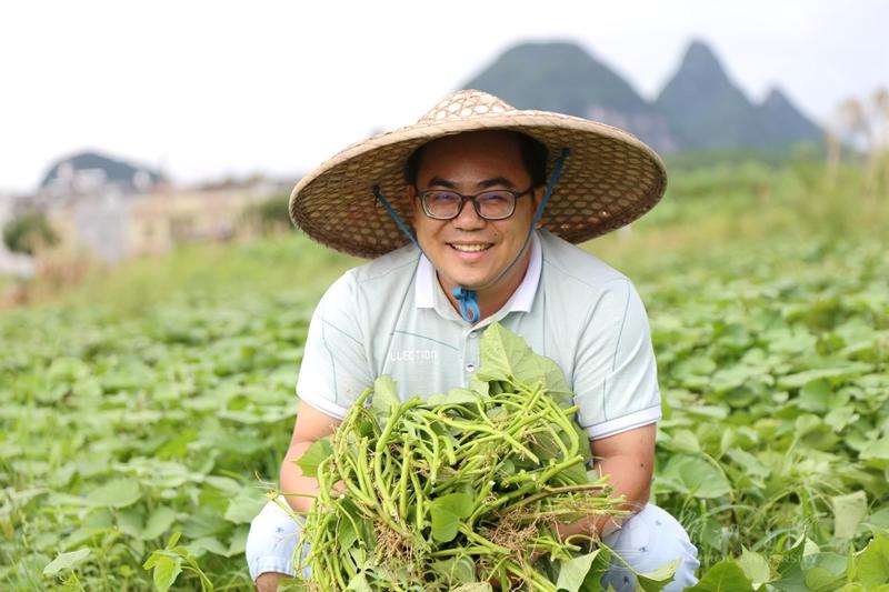 叶羽档